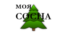 Моя Сосна