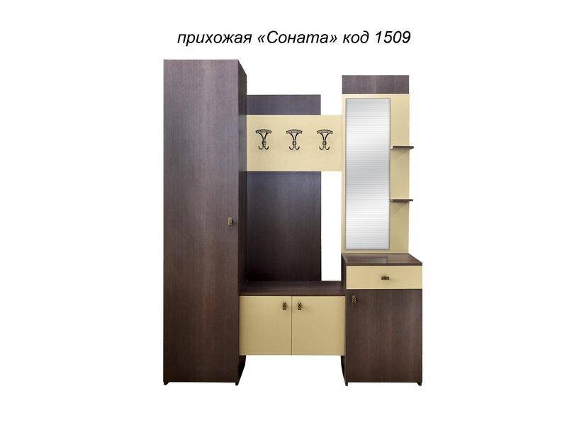 прихожая соната в Саранске