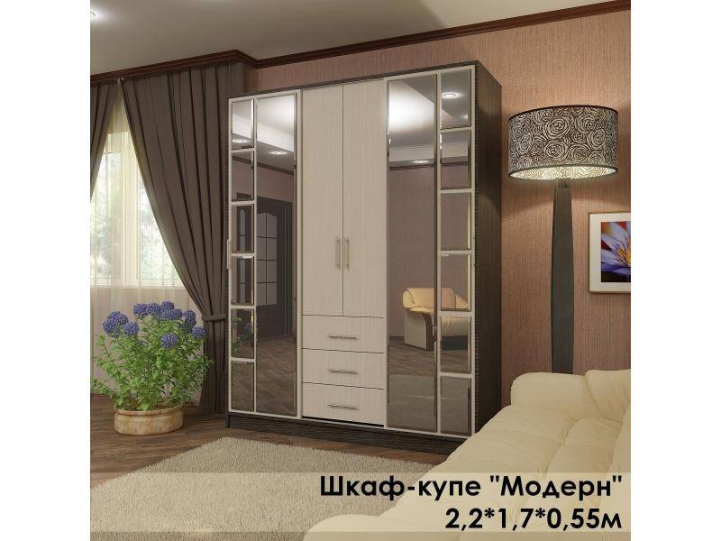 шкаф-купе в стиле модерн в Саранске