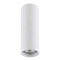 потолочный светильник lightstar rullo 214496 в Саранске