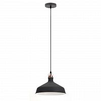 подвесной светильник эра loft pl2 bk/rc в Саранске