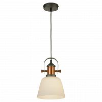 подвесной светильник lussole loft grlsp-9846 в Саранске