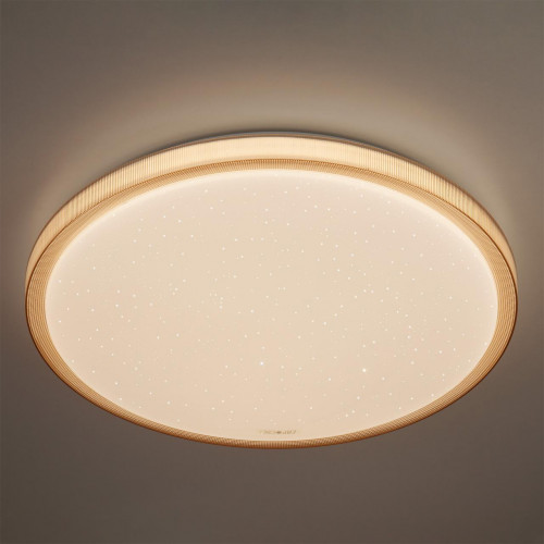 потолочный светодиодный светильник eurosvet sandy 40015/1 led кофе в Саранске