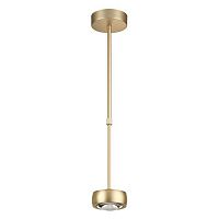 подвесной светодиодный светильник odeon light ottico 3874/10l в Саранске