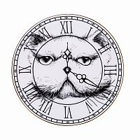 тарелка кот на циферблате в Саранске