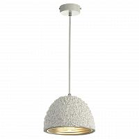 подвесной светильник lussole loft grlsp-9857 в Саранске