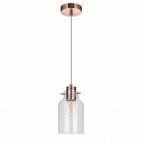 дизайнерский подвесной светильник spot light alessandro 1760113 в Саранске