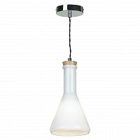 подвесной светильник lussole loft grlsp-9635 в Саранске