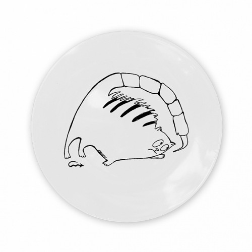тарелка кот-скорпион в Саранске