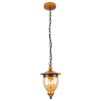подвесной светильник arte lamp catena a6711sp-1br в Саранске