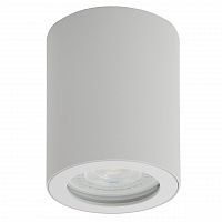 потолочный светильник denkirs dk3007-wh в Саранске