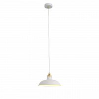 подвесной светильник st luce pietanza sl323.503.01 в Саранске