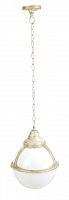уличный подвесной светильник arte lamp monaco a1495so-1wg в Саранске