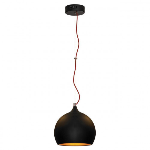 подвесной светильник lussole loft lsn-6116-01 в Саранске