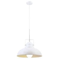 подвесной светильник arte lamp martin a5213sp-1wg в Саранске