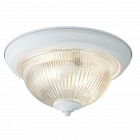 потолочный светильник arte lamp aqua a9370pl-2wh в Саранске