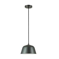 подвесной светильник lumion gwen 3680/1 в Саранске