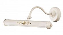 подсветка для картин st luce illuminazione sl574.501.02 в Саранске
