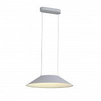 подвесной светодиодный светильник st luce pitto sl427.513.01 в Саранске