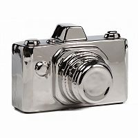 предмет декора camera серебряная в Саранске