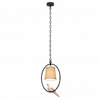 подвесной светильник loft it loft1029a-1 в Саранске