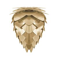 плафон conia brushed brass в Саранске