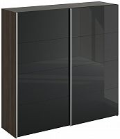 шкаф-купе slide 1700 черный в Саранске