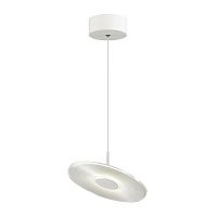 подвесной светодиодный светильник odeon light ellen 4107/12l в Саранске