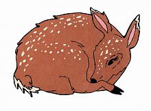 ковер шерстяной олененок the deer в Саранске